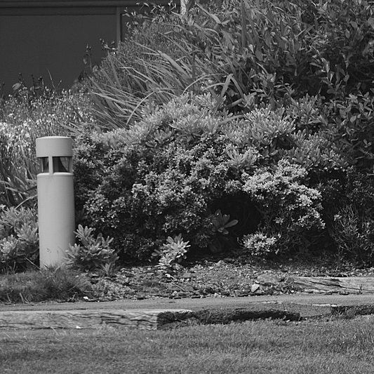 man mowing lawn